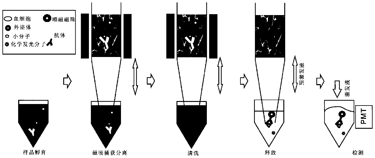 Magnetic immunochemiluminescence detection method for PD-L1 exosomes