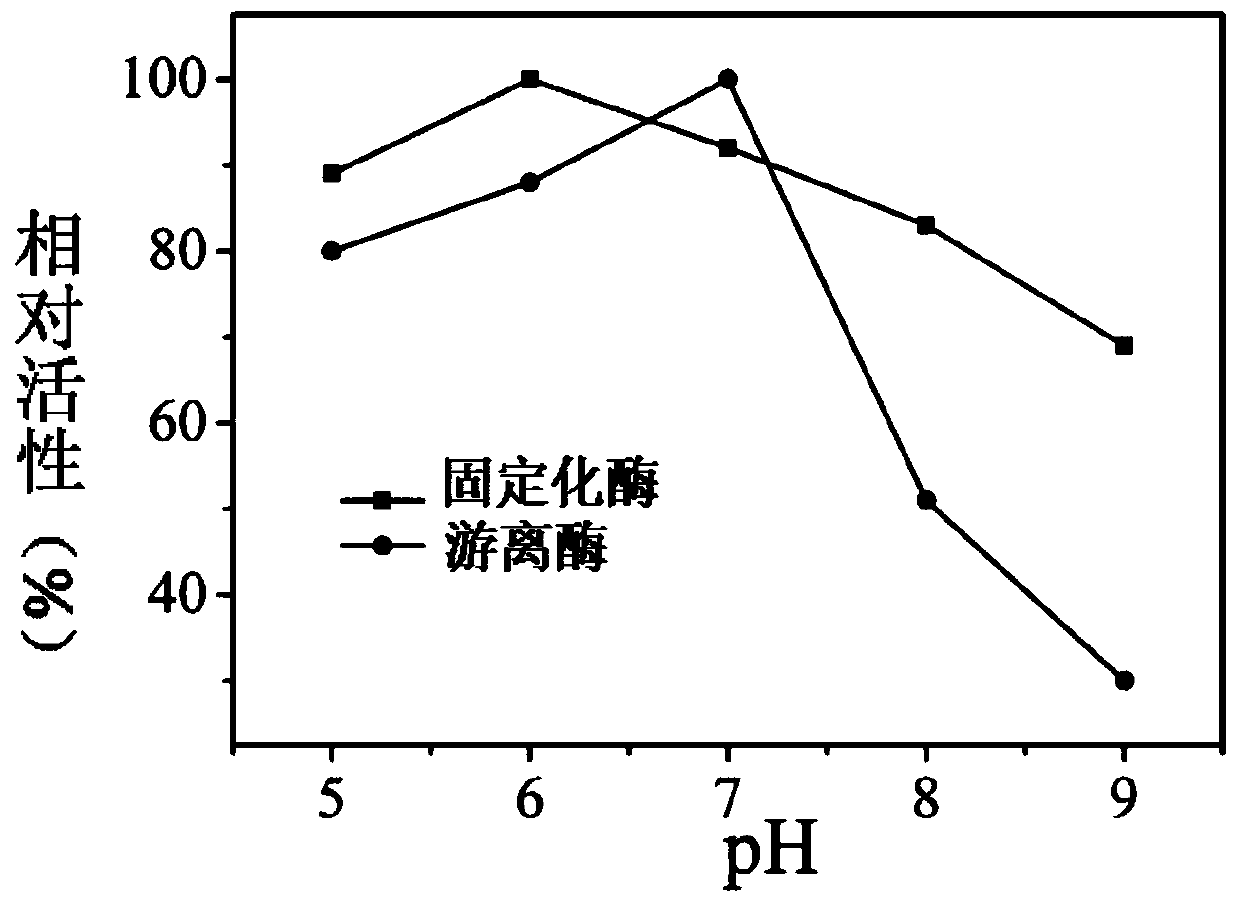 A kind of preparation method of hyaluronic acid blended nanofiber immobilized enzyme