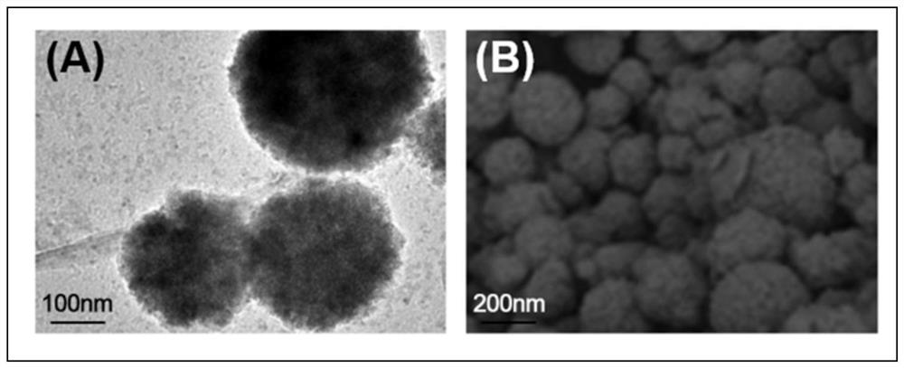 GII.4 norovirus detection, synthesis method thereof, and GII.4 norovirus detection method