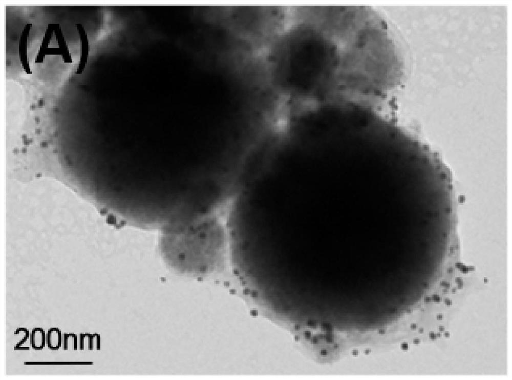 GII.4 norovirus detection, synthesis method thereof, and GII.4 norovirus detection method