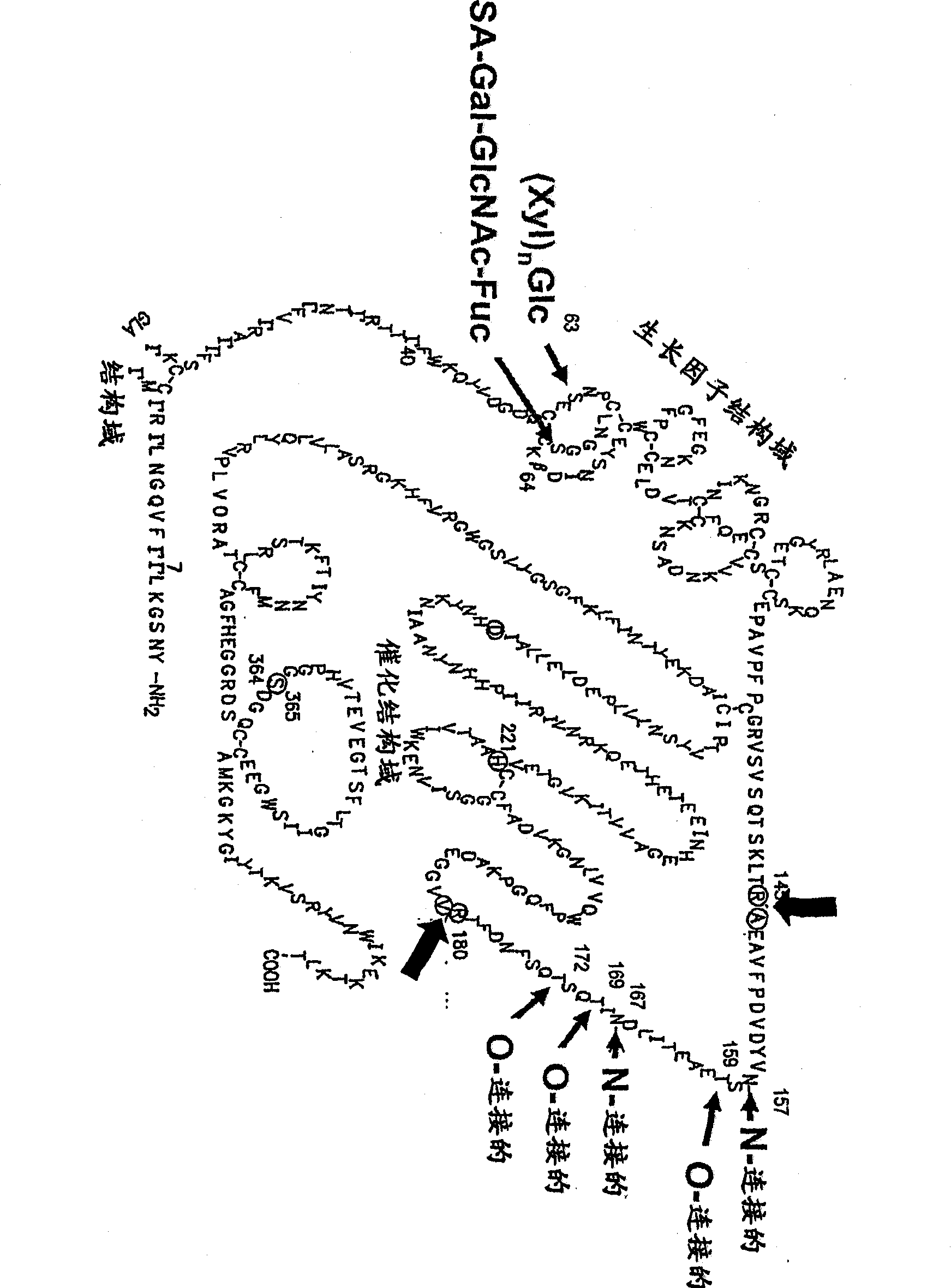 Glycopegylated factor IX