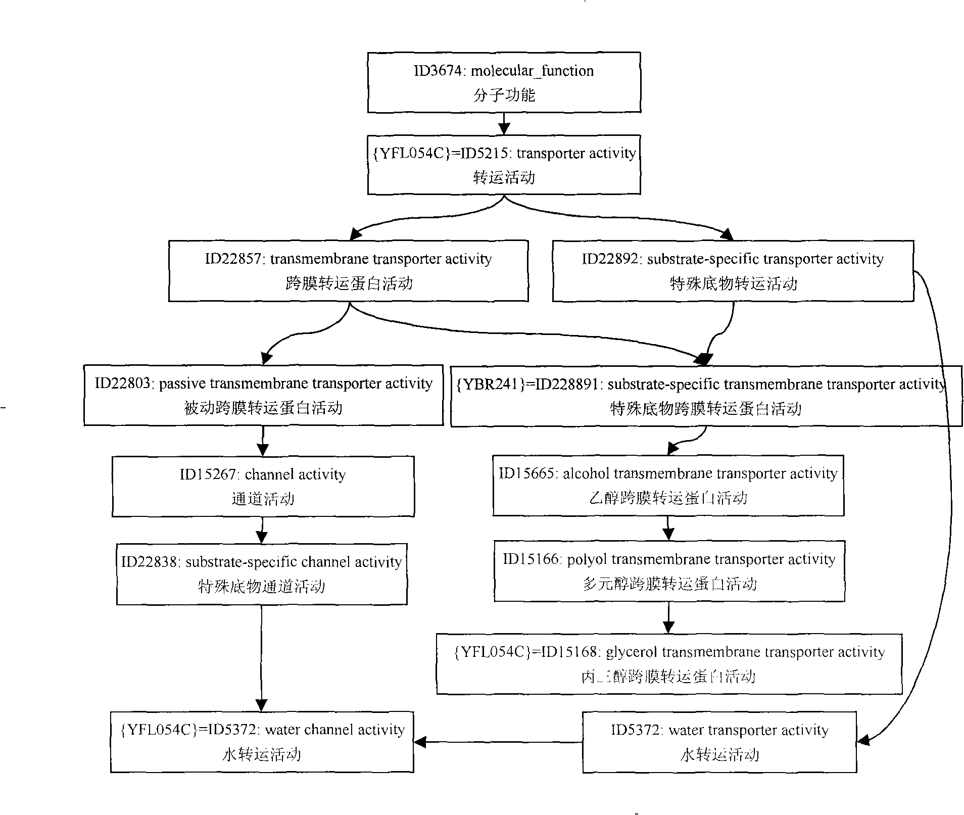 Computation method for annotating semantic similarity by gene