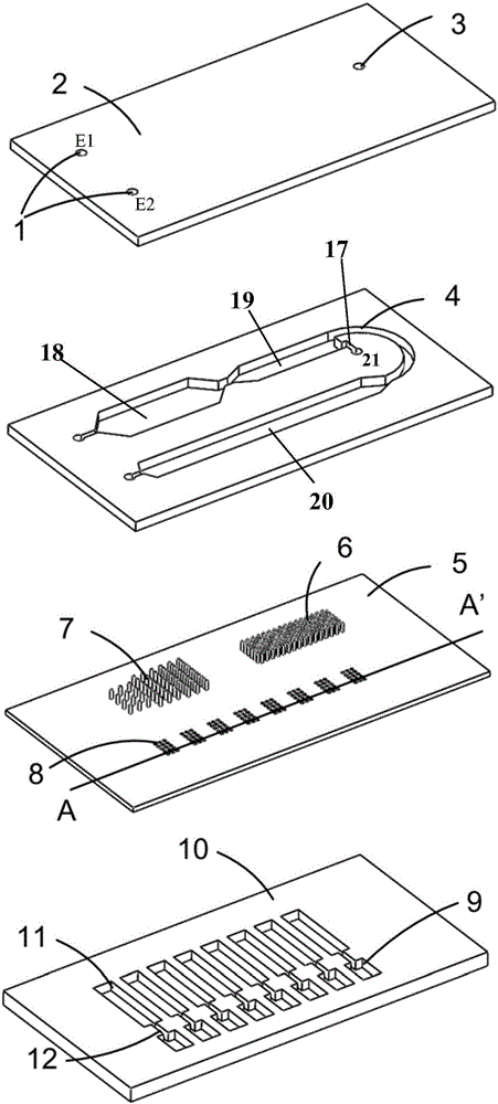 Single-cell-sorting and multigene-locus-detection micro-fluidic chip for expressing EGFR