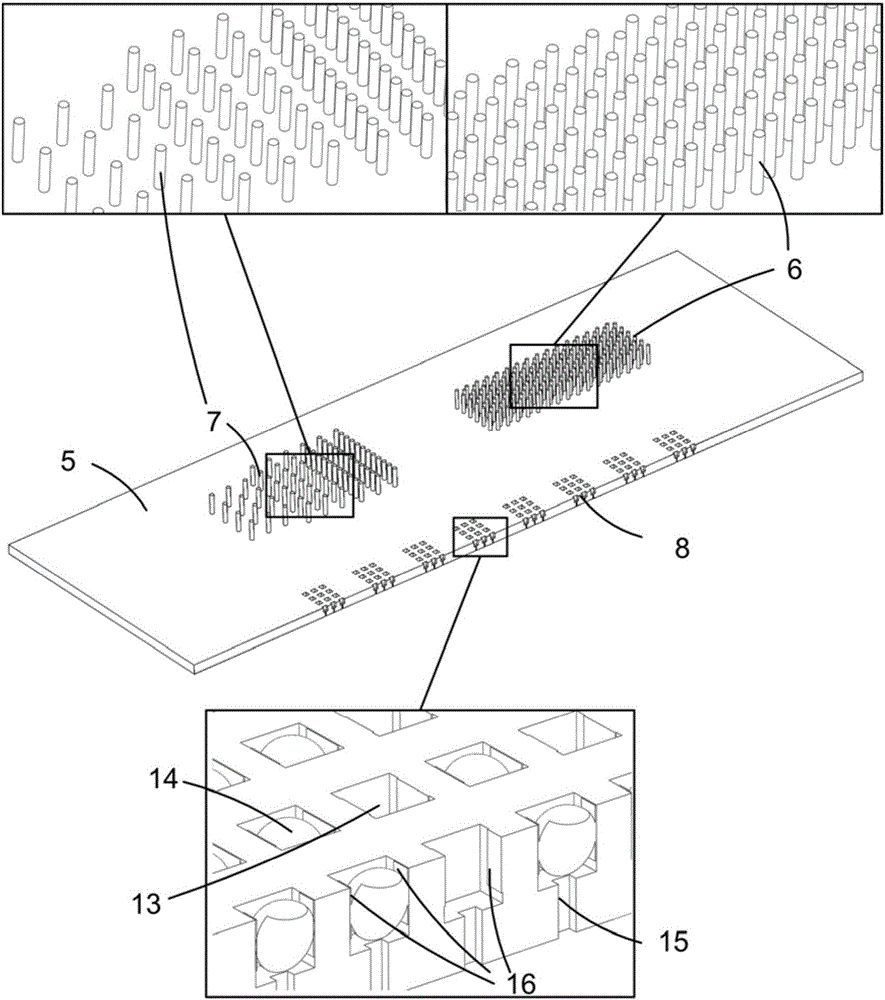 Single-cell-sorting and multigene-locus-detection micro-fluidic chip for expressing EGFR