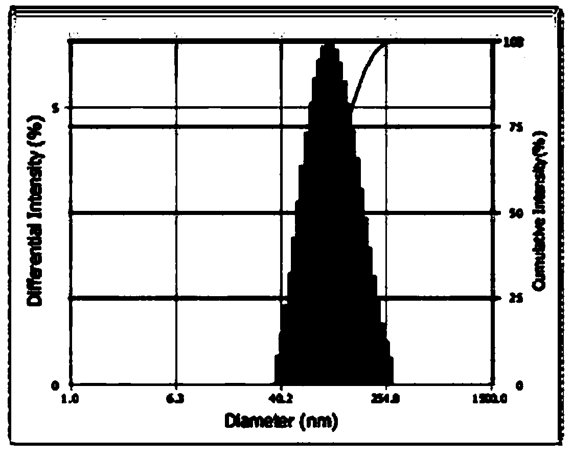 Oligonucleotide-based nano carrier for co-delivering drug and gene and preparation method of nano carrier