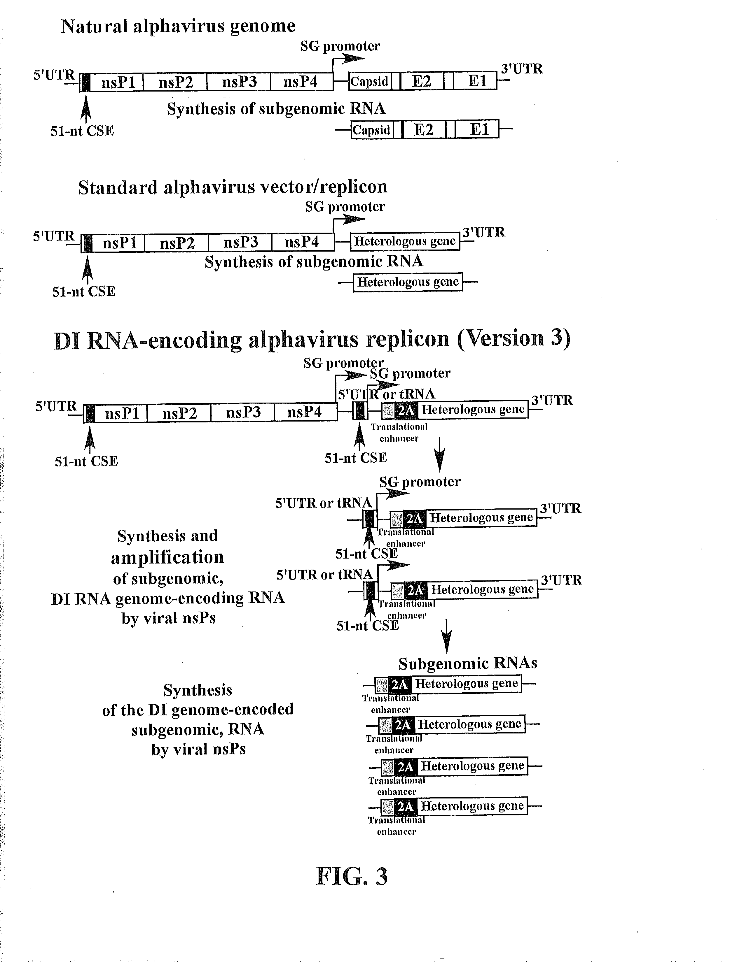 Methods and Compositions for Alphavirus Replicons