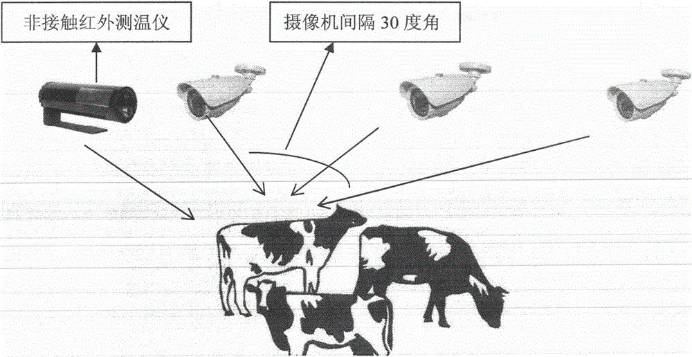 A sensor communication system and its monitoring method using the system