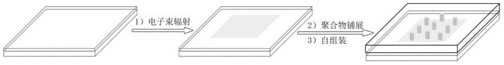 Vertically-oriented self-assembled segmented copolymer film, and production method and application thereof