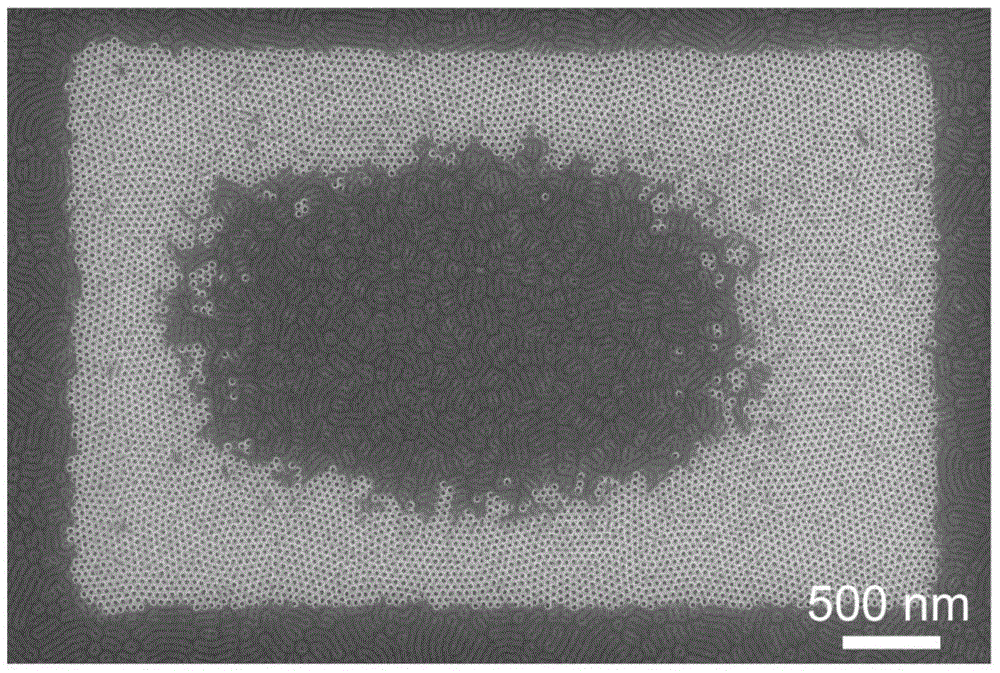 Vertically-oriented self-assembled segmented copolymer film, and production method and application thereof