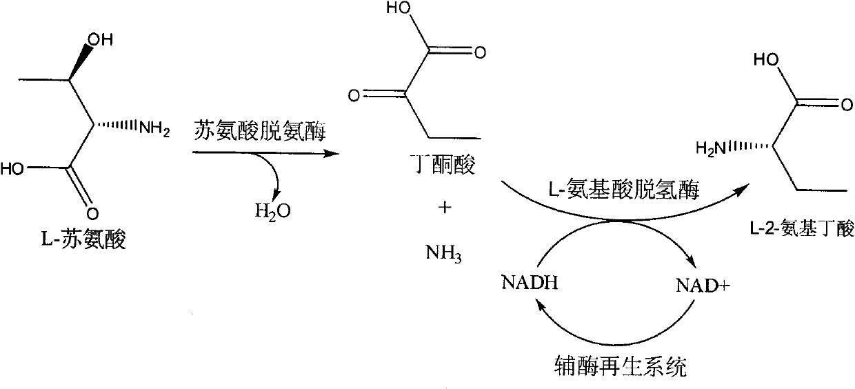 Method for producing L-2-aminobutyric acid