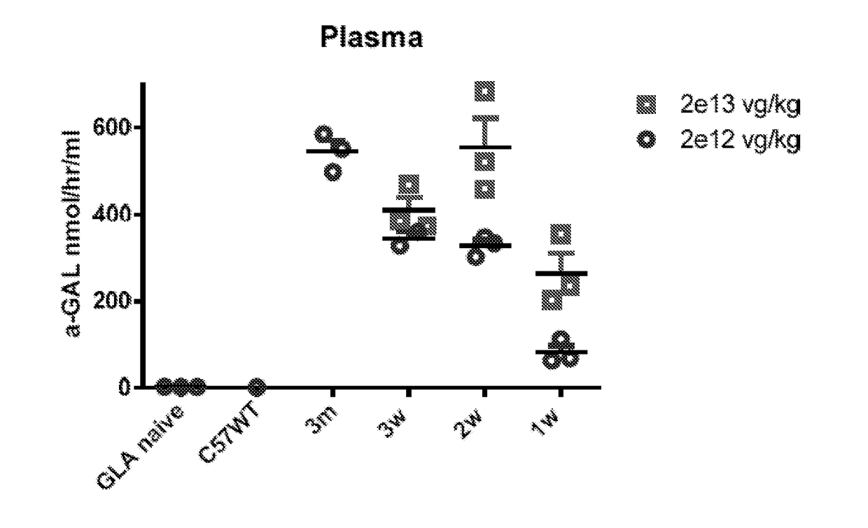 Fabry disease gene therapy