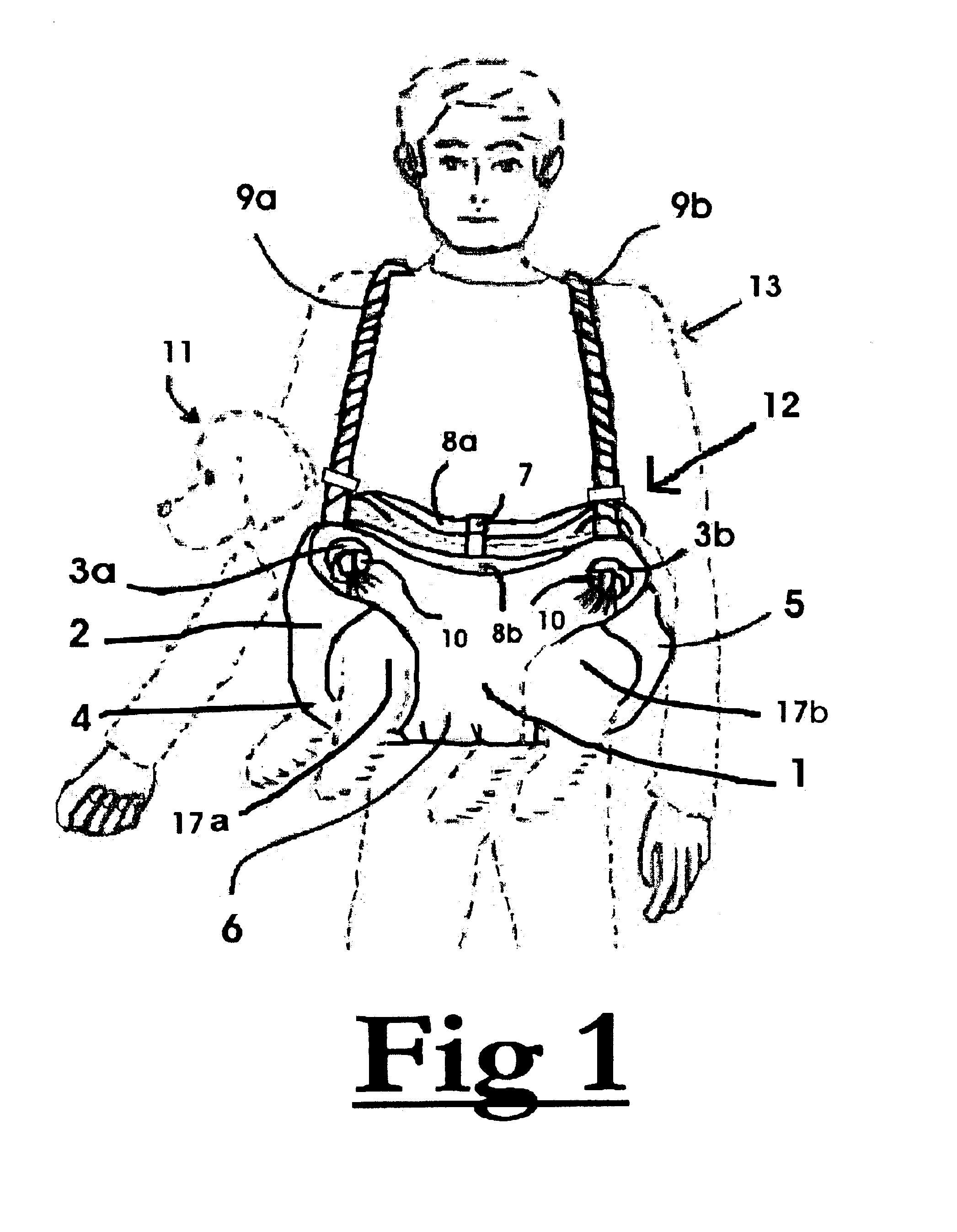 Multi-functional pet carrier