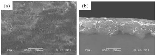 A kind of preparation method of magnesium alloy surface micro-arc electrophoresis containing ha biocomposite film layer