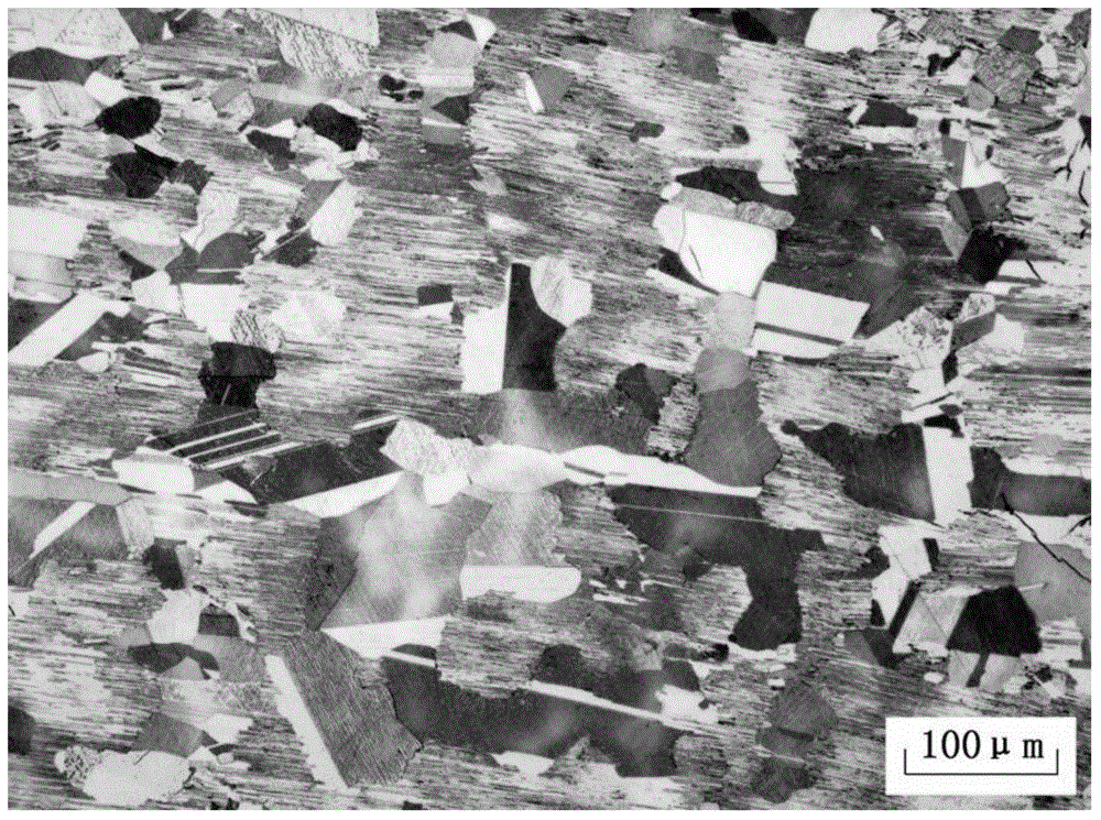 Method for preparing TiAl-base alloy directional fully lamellar structure