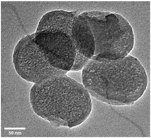 A kind of polyethylene glycol monomethyl ether modified mesoporous silica nanoparticles and its preparation method and application