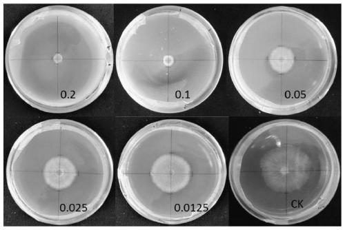 A kind of entomopathogenic nematode symbiotic bacteria and application thereof