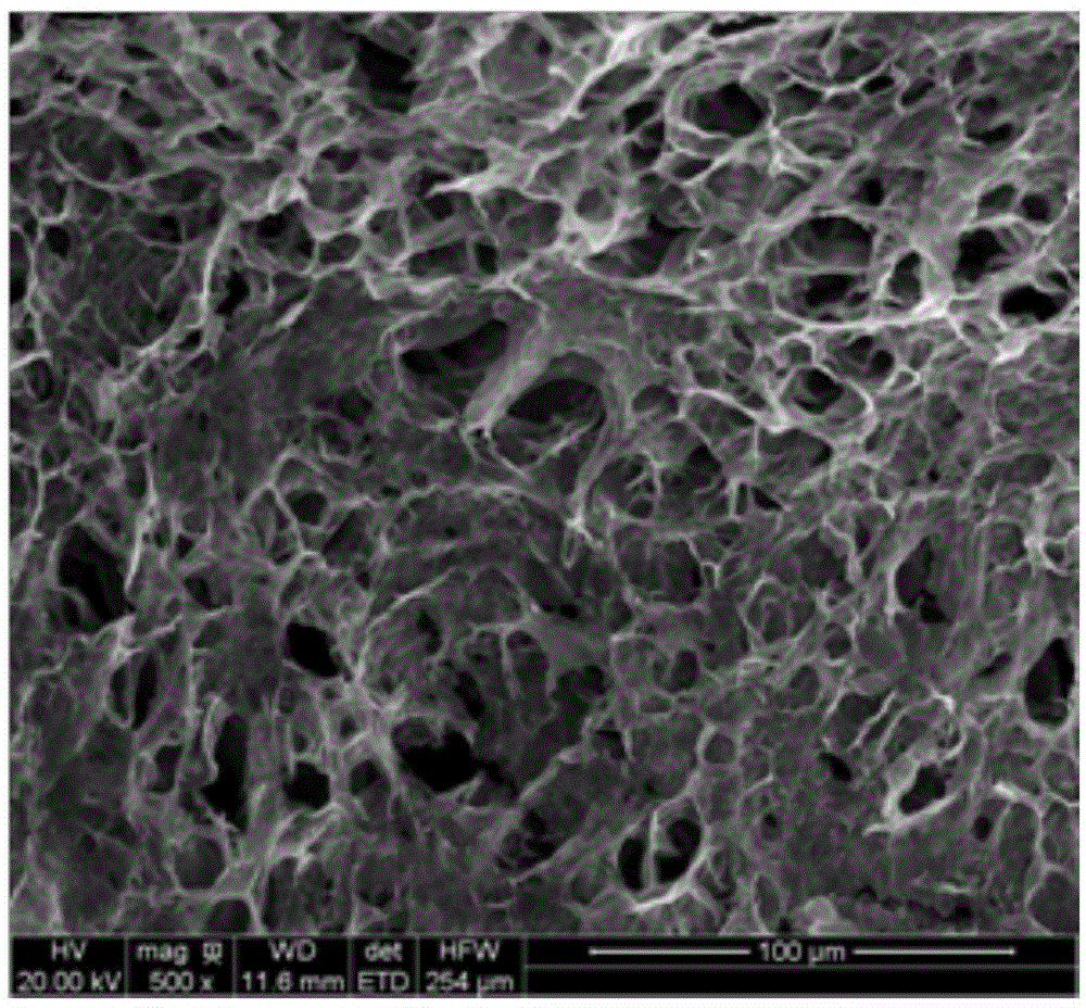 Superhydrophilic-superoleophobic cellulose sponge and preparation method thereof