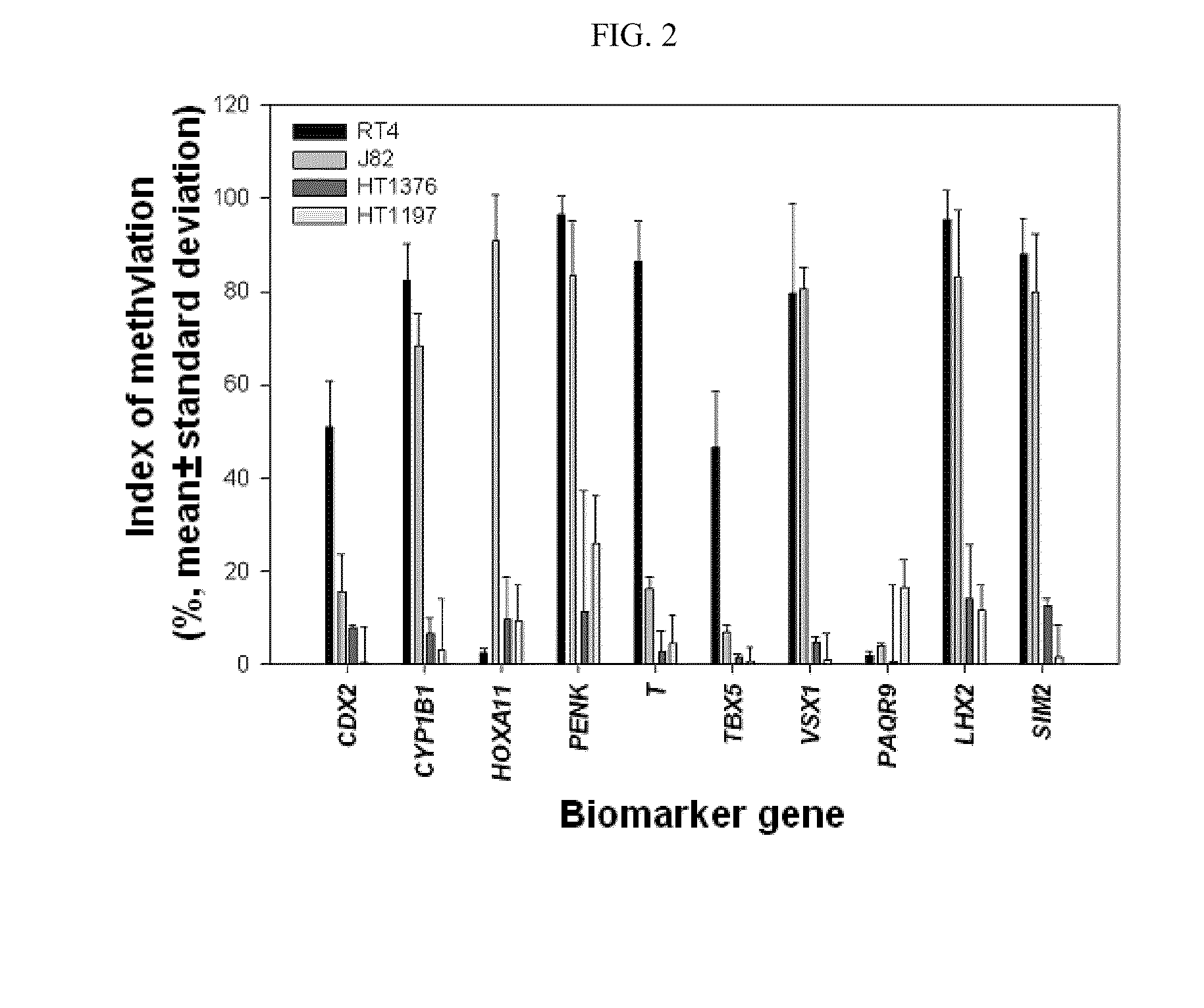 Diagnosis kit and chip for bladder cancer using bladder cancer specific methylation marker gene