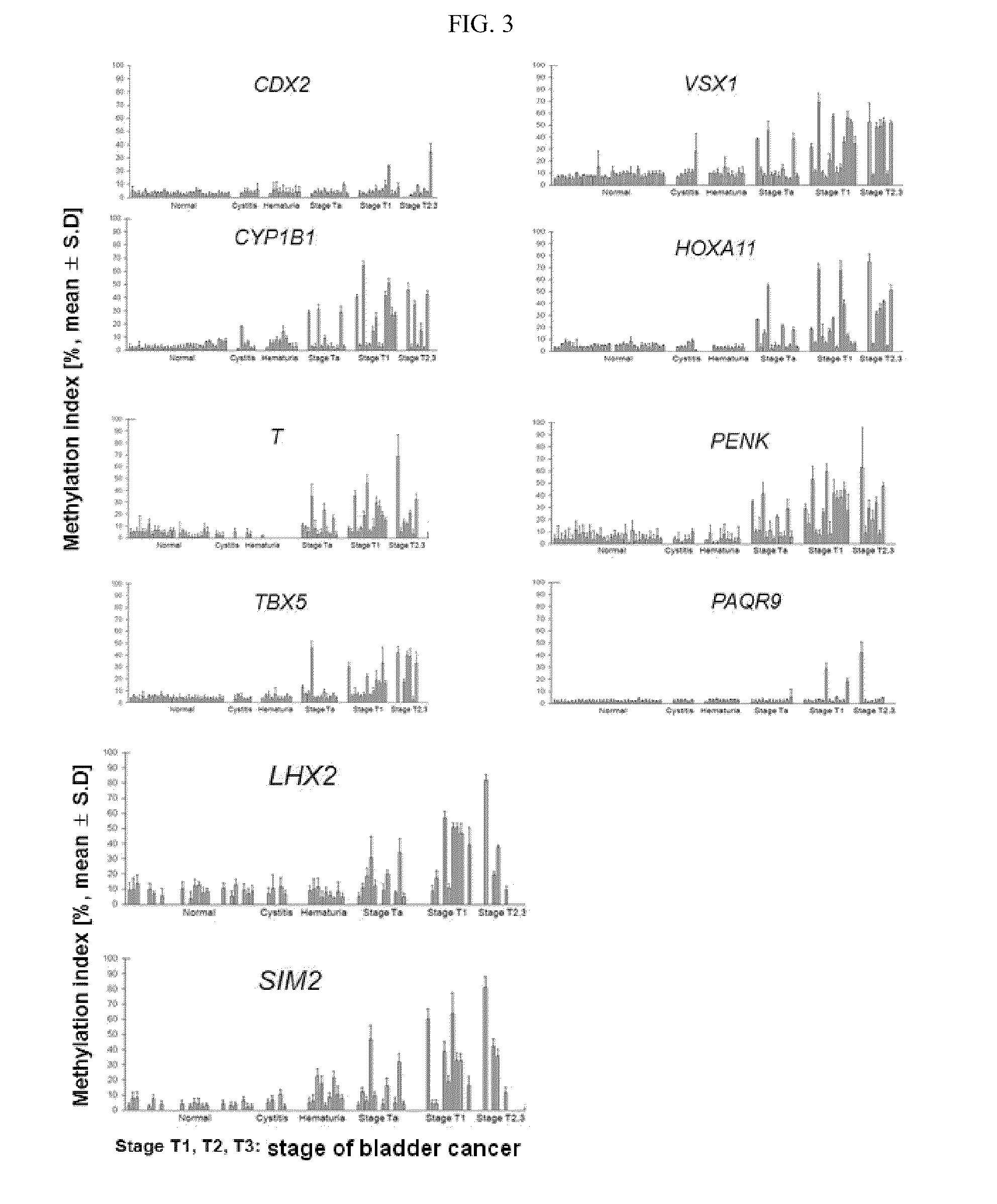 Diagnosis kit and chip for bladder cancer using bladder cancer specific methylation marker gene