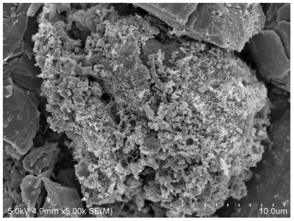 Nano silicon metal composite material and preparation method thereof