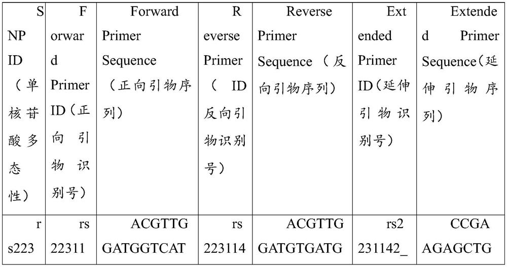 Method and kit for detecting gout typing related genes