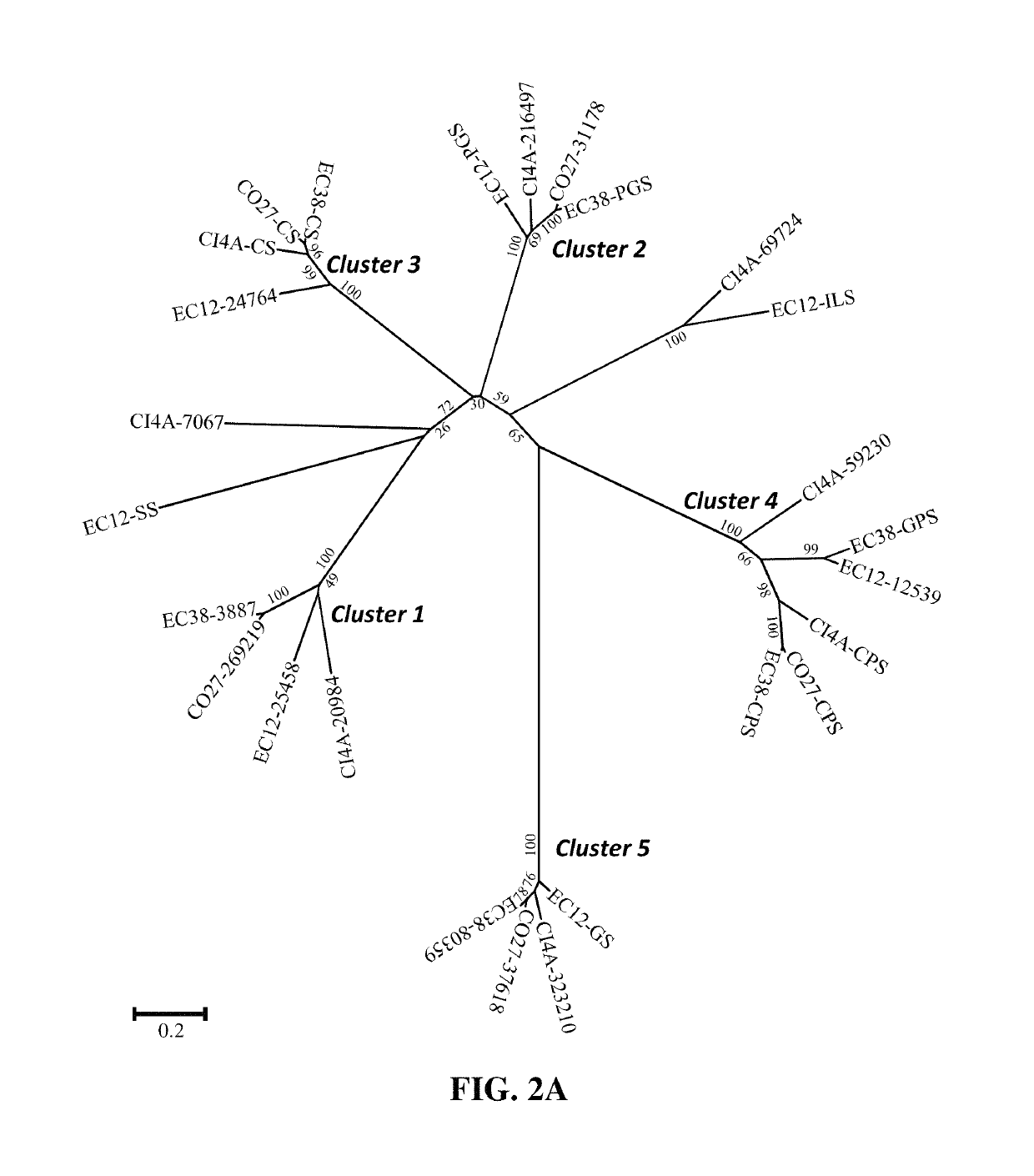 Terpene synthases for biofuel production and methods thereof