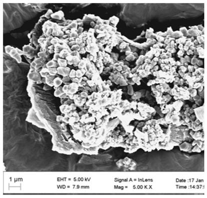 Chitin-based biomass charcoal double-sided electrode slice for electroadsorption and preparation method thereof