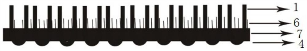 Tufted chemical fiber carpet capable of being completely recycled and preparation method thereof