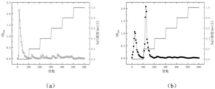 A kind of preparation and purification method of high antioxidant activity Grifola frondosa polysaccharide