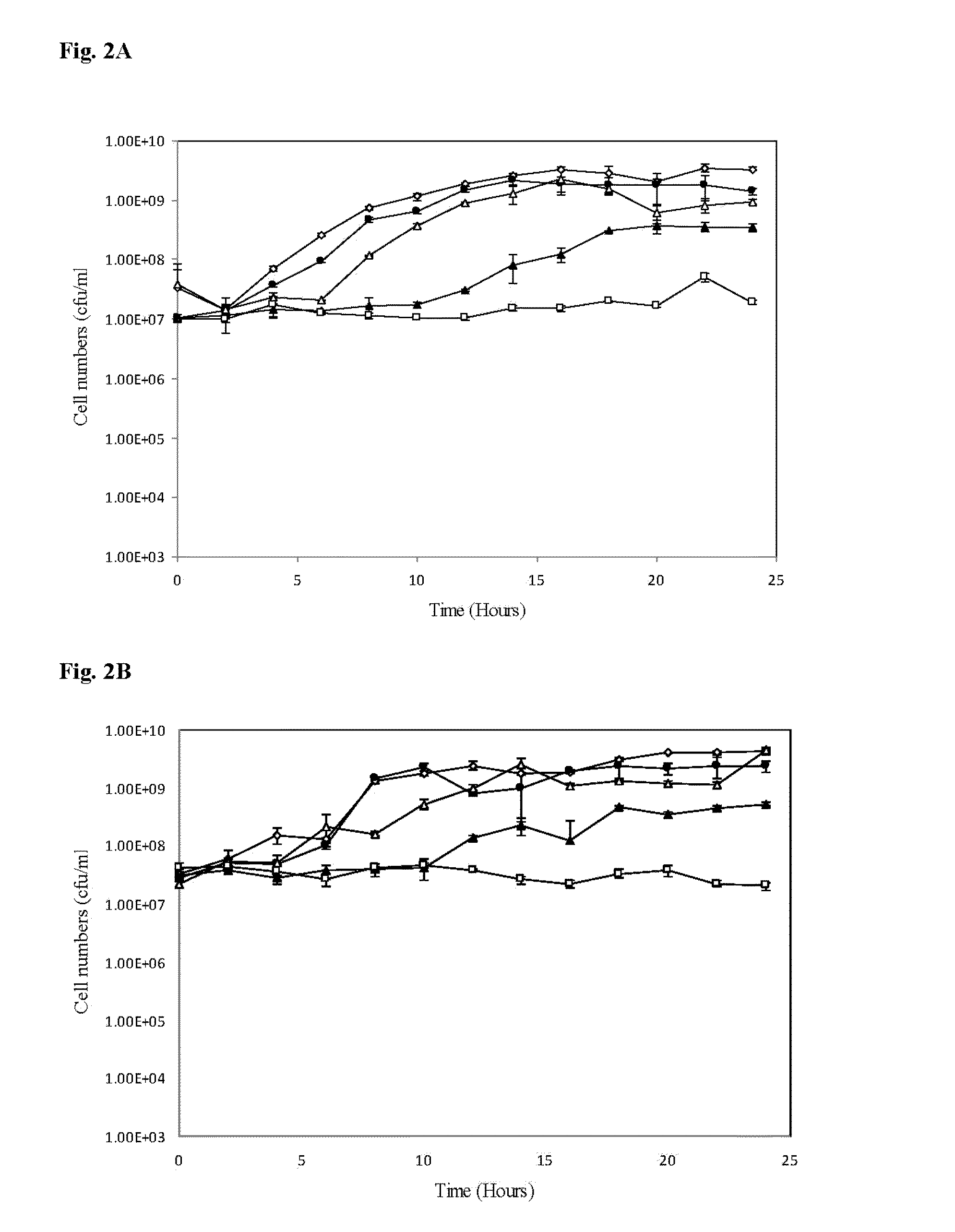 Lactobacillus plantarum species possessing broad spectrum Anti-fungal activity and exhibiting high heat tolerance and osmotolerance