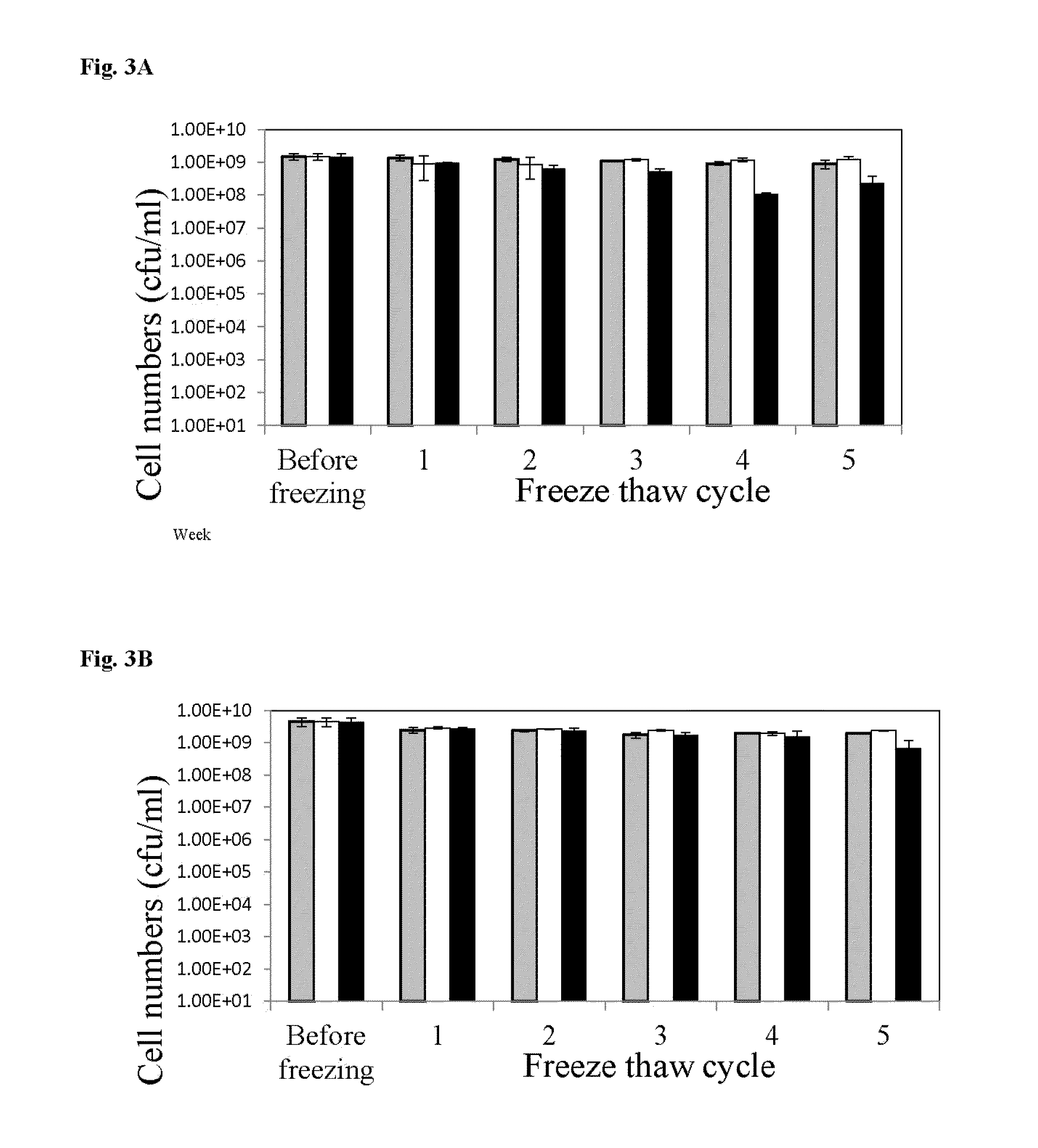 Lactobacillus plantarum species possessing broad spectrum Anti-fungal activity and exhibiting high heat tolerance and osmotolerance