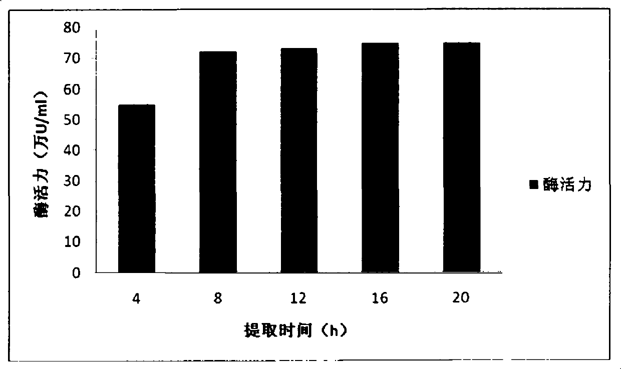 Preparation method of amylase