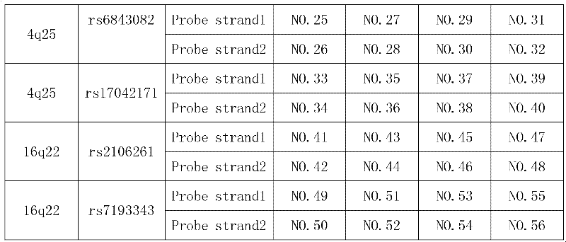 Gene chip for forecasting curative effect of maze surgery on atrial fibrillation