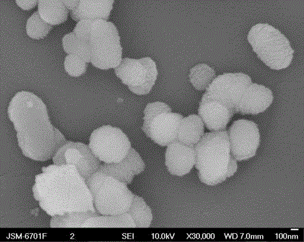 Solid acid catalyst and use thereof