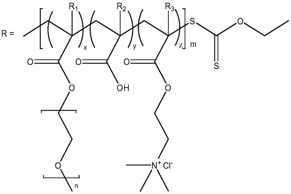 A star-shaped amphoteric polycarboxylate water reducer with high-efficiency mud resistance and its preparation method