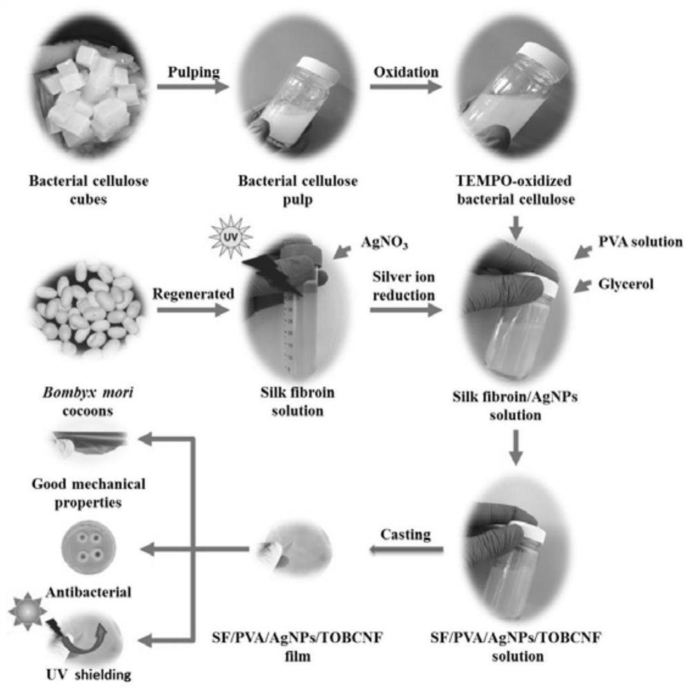 Fibroin oxidized bacterial cellulose nano-composite membrane and preparation method thereof