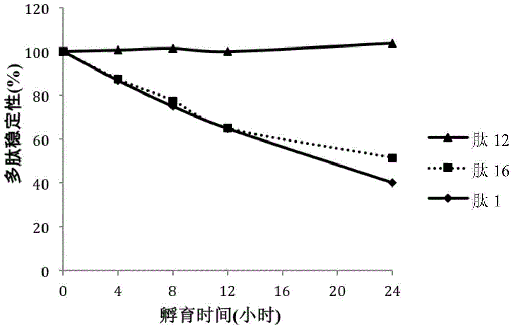 Peptide, peptide derivatives, medicinal salts of peptide, medicine composition and application of peptide and peptide derivatives