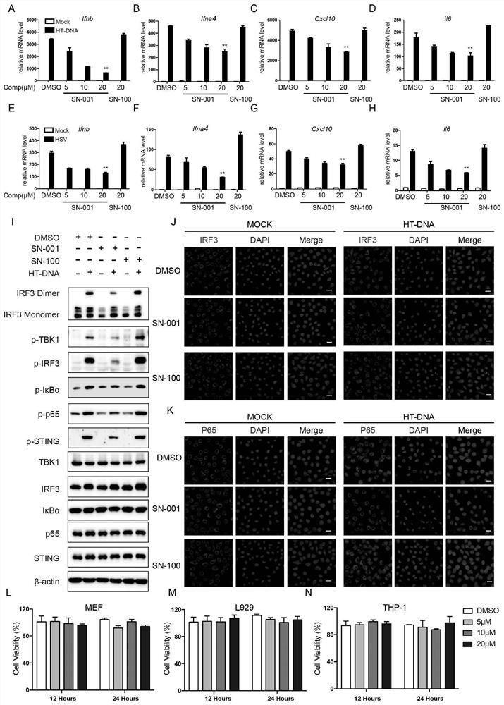 Medical application of benzenesulfonamide compound, and pharmaceutical composition