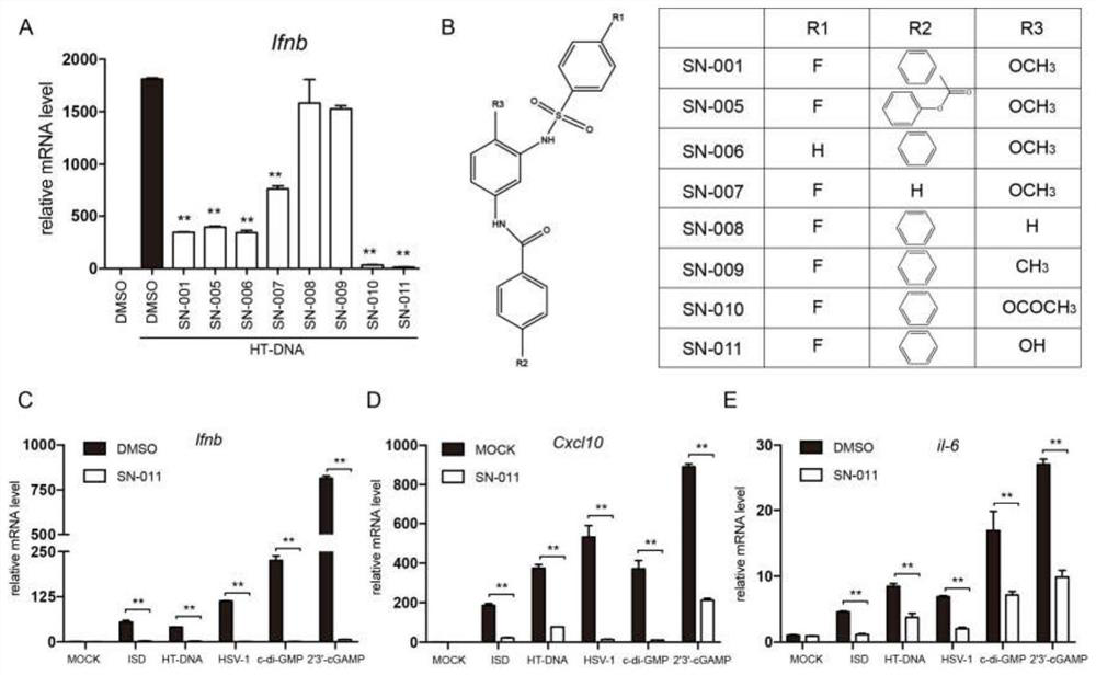 Medical application of benzenesulfonamide compound, and pharmaceutical composition