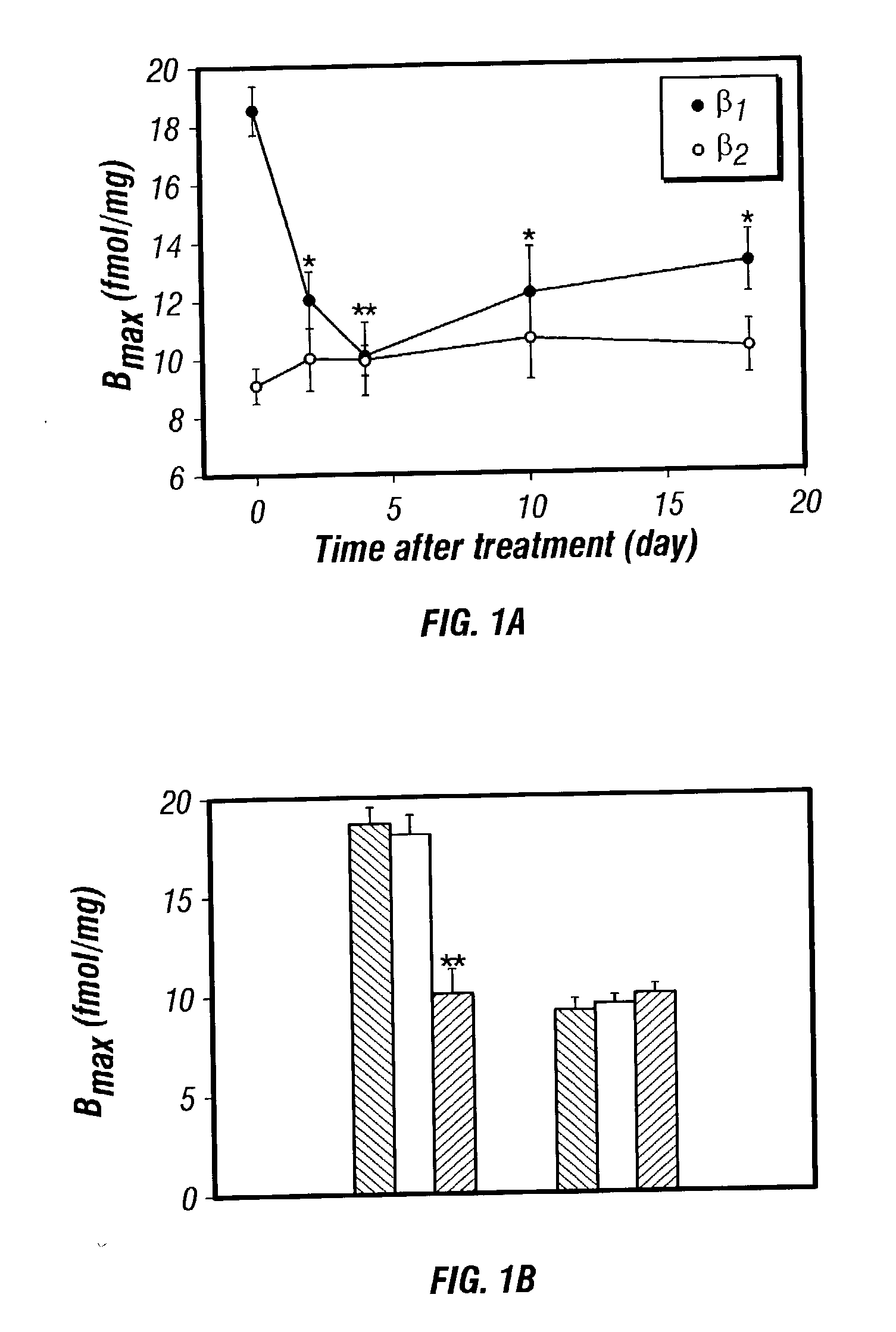 Antisense compositions targeted to beta1-adrenoceptor-specific mRNA and methods of use