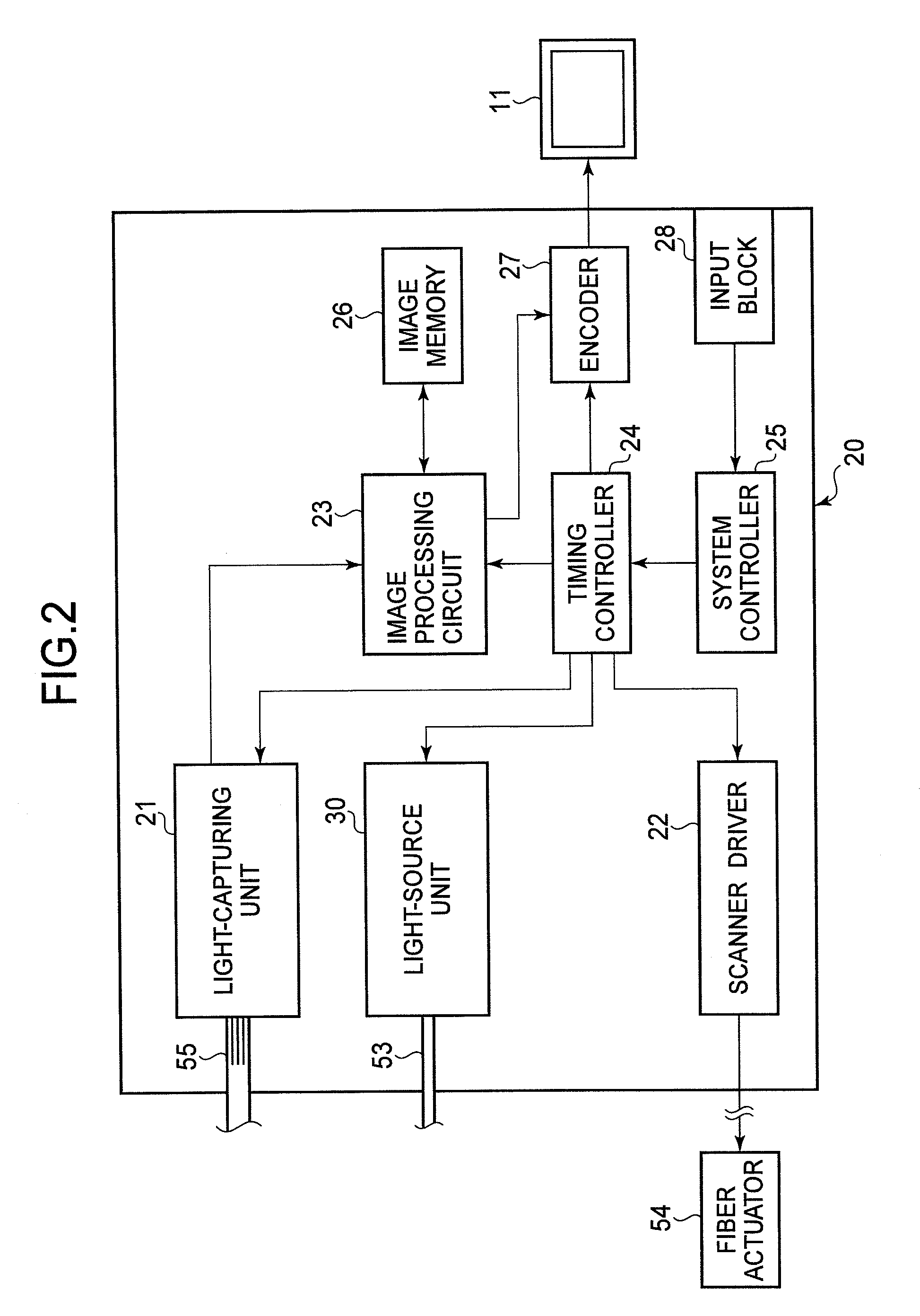 Scanning endoscope, scanning endoscope processor, and scanning endoscope apparatus