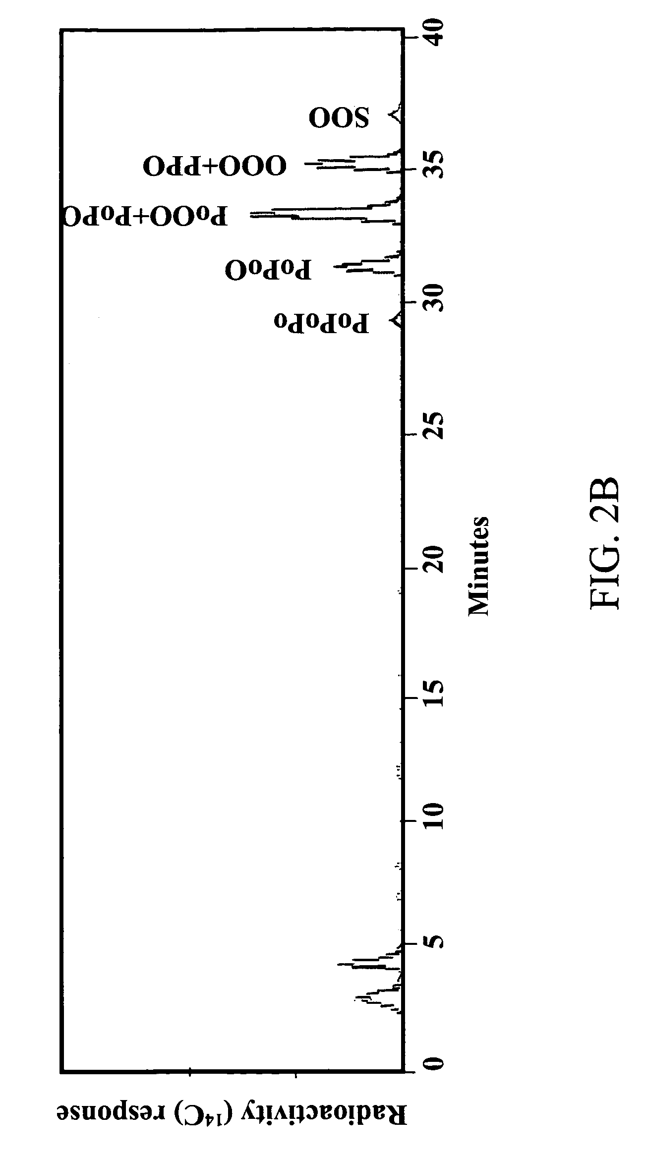 Diacylglycerol acyltransferase and its use to preferentially incorporate fatty acids into diacylglycerol