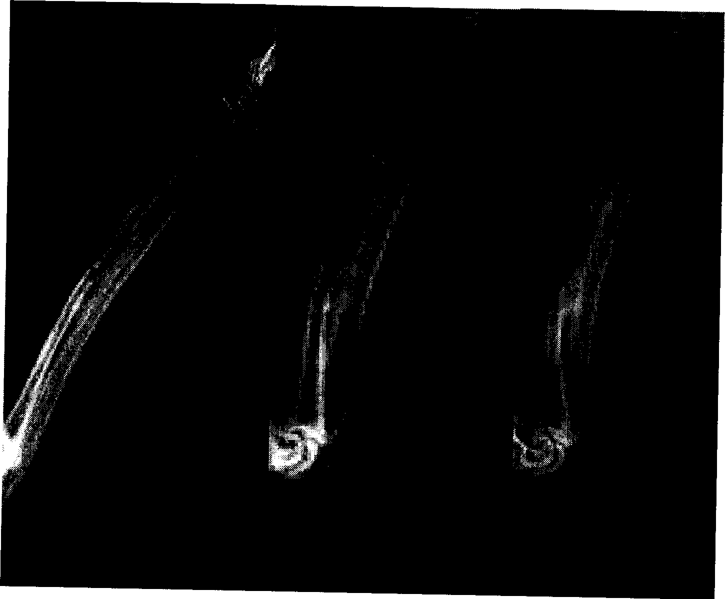 Injected tissue engineering bone and its constrction and application