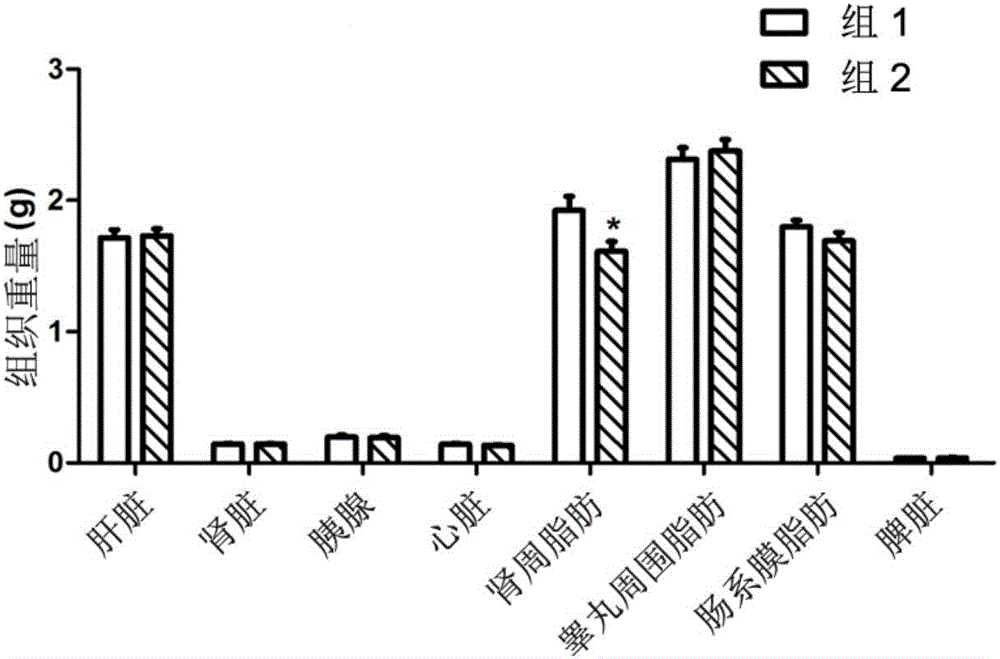 8-epi-Hypophyllin E and derivatives and pharmaceutical composition thereof and application of 8-epi-Hypophyllin E in pharmacy