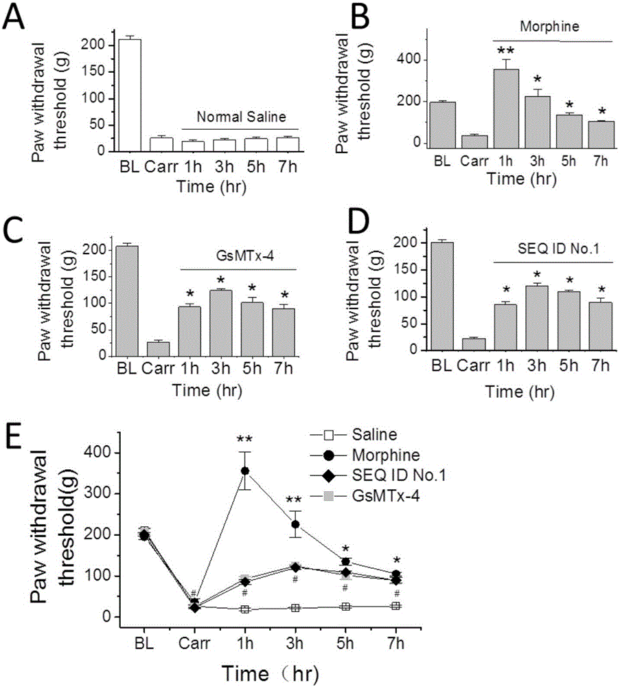 Peptides as well as pharmaceutical composition and application thereof