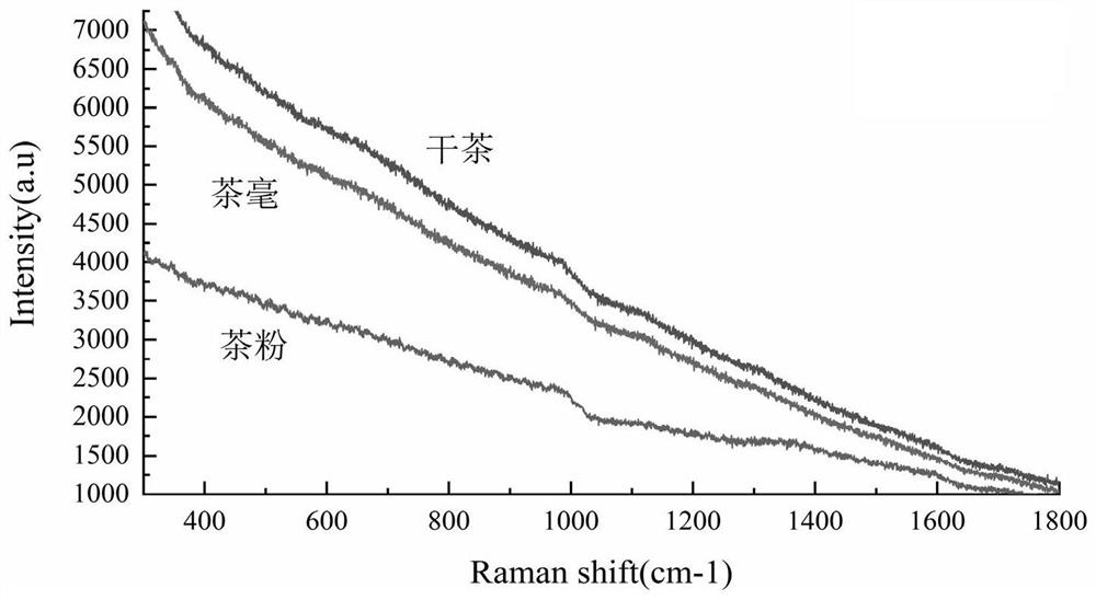 Method for judging freshness of green tea based on Raman spectrum