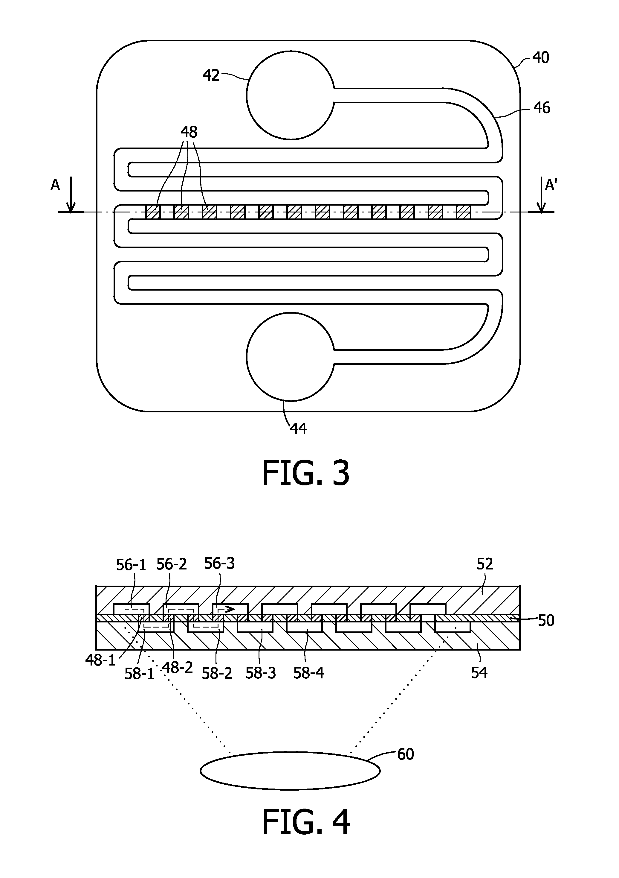 Microfluidic Device with Porous Membrane and an Unbranched Channel