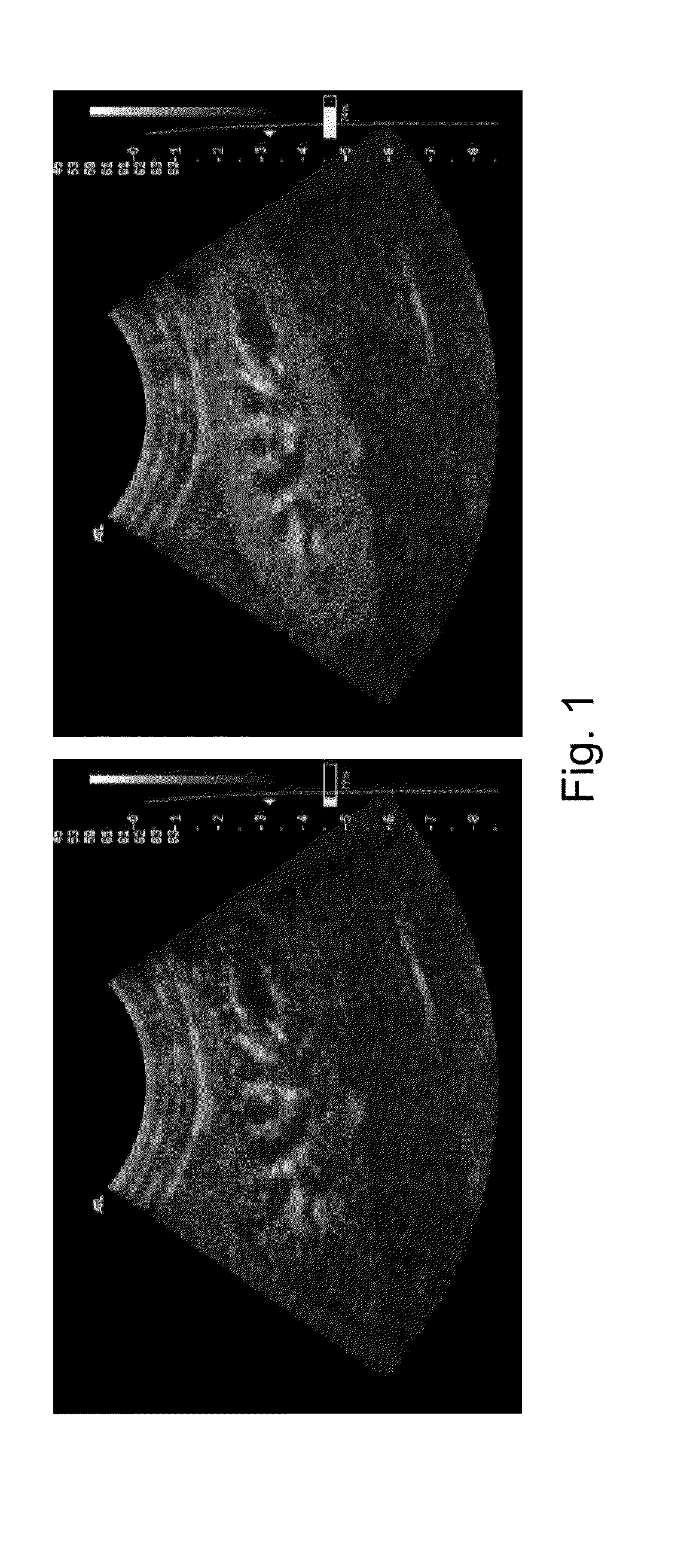 Method for generating quantitative images of the flow potential of a region under investigation