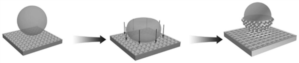 Light capturing module of photoelectric detector and photoelectric detector