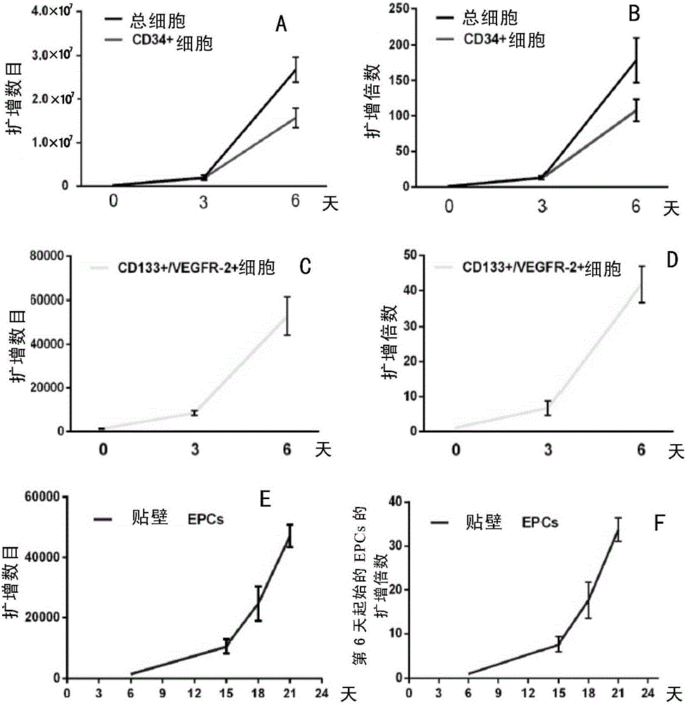 Efficient amplification culture system for human vascular endothelial progenitor cells